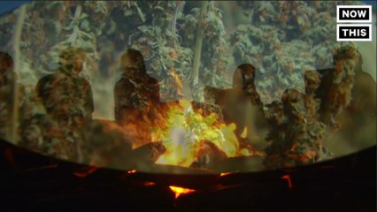 A Weed-Friendly Camping Ground