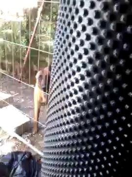 Ornans : les chiens et les déchets des voisins gênent toujours Lucienne, 83 ans...