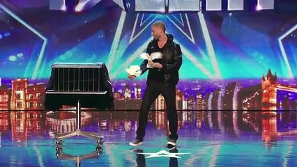 Magjistari kombinon pendën me 'qibrit', e pabesueshme çfarë nxjerr