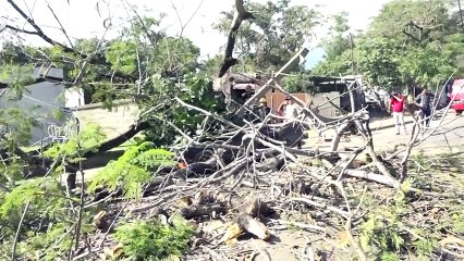 Se salvaron de milagro