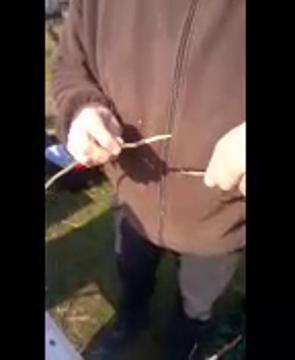 Lunéville : cours de greffe avec les Croqueurs de...