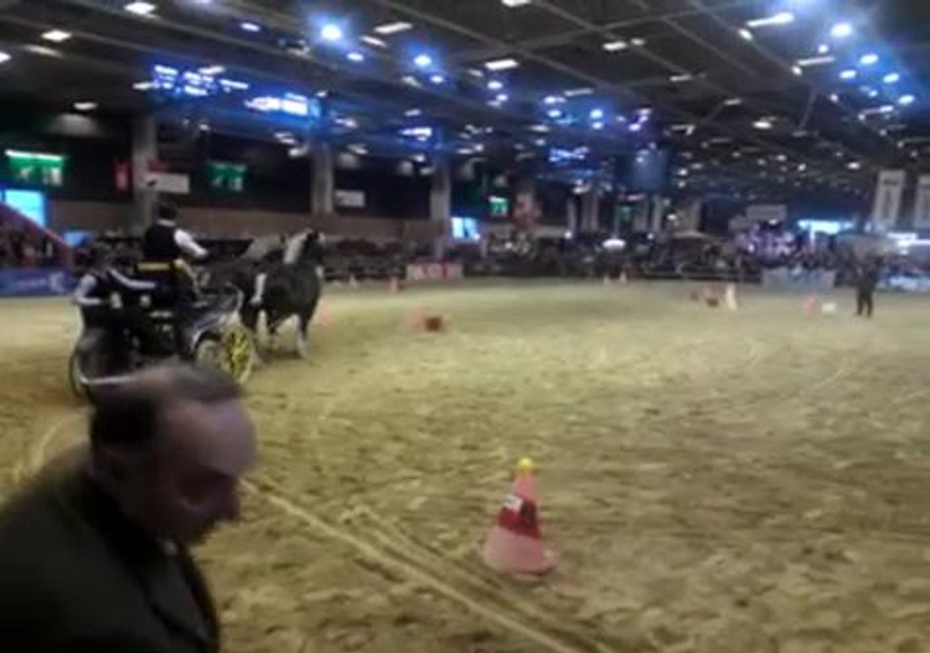 Épreuve de maniabilité