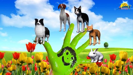 Dog Animal Finger Family rhymes | 3d Animal Collection Nursery Kids Children animated songs