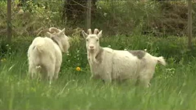 2e croisières des lecteurs mercredi 3