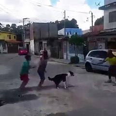 CACHORRO PULA CORDA COM CRIANÇAS