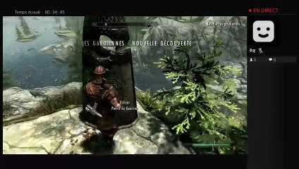 Diffusion PS4 en direct de dx-sword-