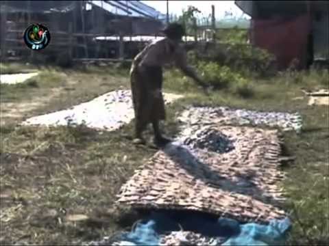 DVB - 08.05.2011 - Weekly Burma News