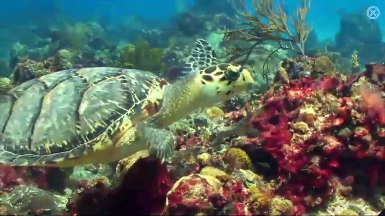 How To Spell Words || English For Children - Fun way to Learn Spelling of English Words - Part 6