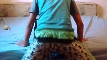 O QUE AS PESSOAS PESQUISAM NO GOOGLE