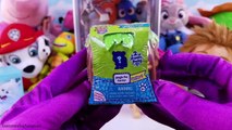 Secret Life of Pets Paw Patrol Play the Claw Machine Game for Blind Box Toy Surprises