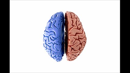 HEMISFÉRIOS CEREBRAIS - ONDE A MUSICOTERAPIA ENTRA NESSA HISTÓRIA?