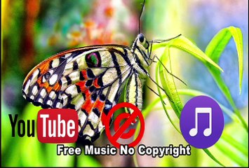 Relaxing Anamalie Music,Free Music