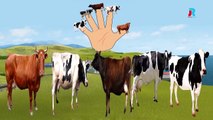 Finger Family Nursery Rhymes | Cow Cartoons Finger Family Children Rhymes