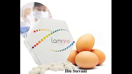 0812-8899-4755 ( Ibu Stefani ) Jual Laminine Di Bekasi Jual Laminine Di Jakarta