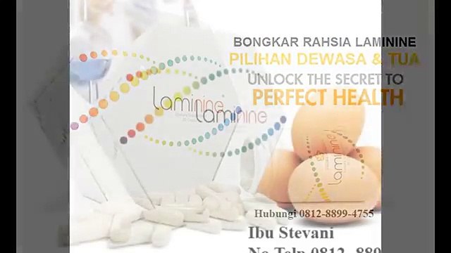 0812-8899-4755 ( Ibu Stefani ) Jual Herbal Laminine Jual Laminine Bandung Jual Laminine Di Bandung