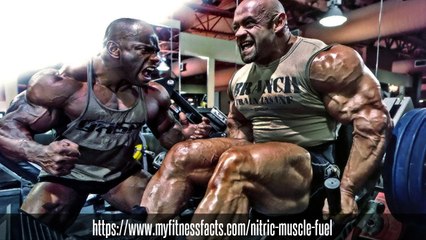 Nitric Muscle Fuel Trails