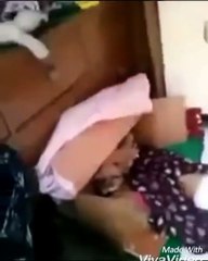dont dusturb dogs while they are busy
