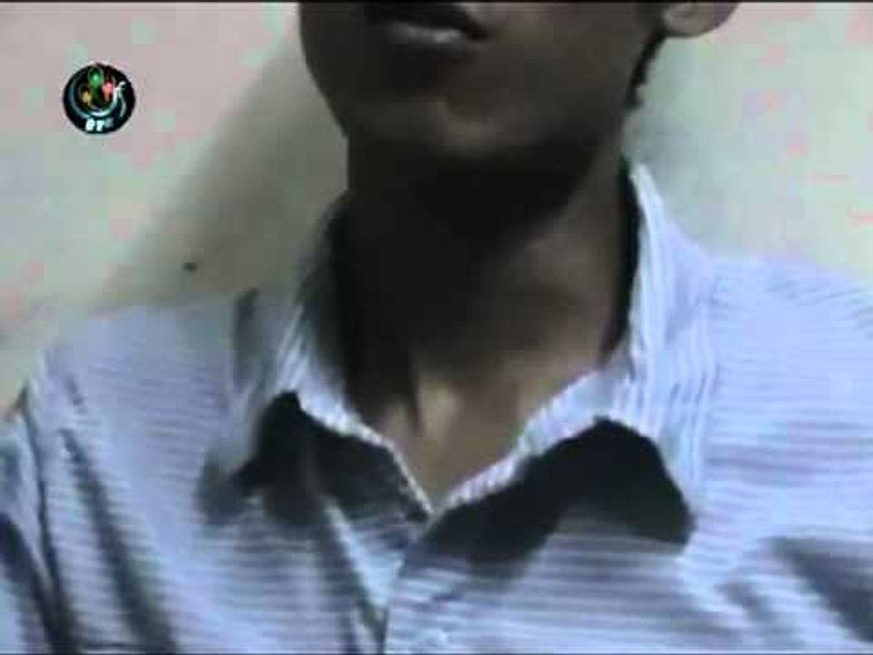 DVB - 01.02.2011 - Documentary