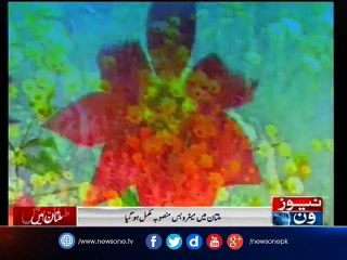 PM to inaugurate metro bus service in Multan today