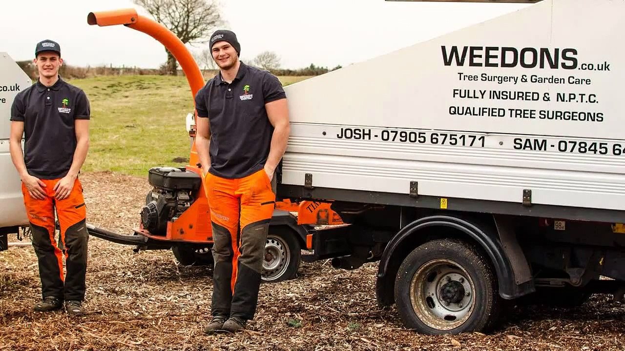 Affordable Tree Removal Nottingham Tel 07905 675171 - Weedons Tree Surgery