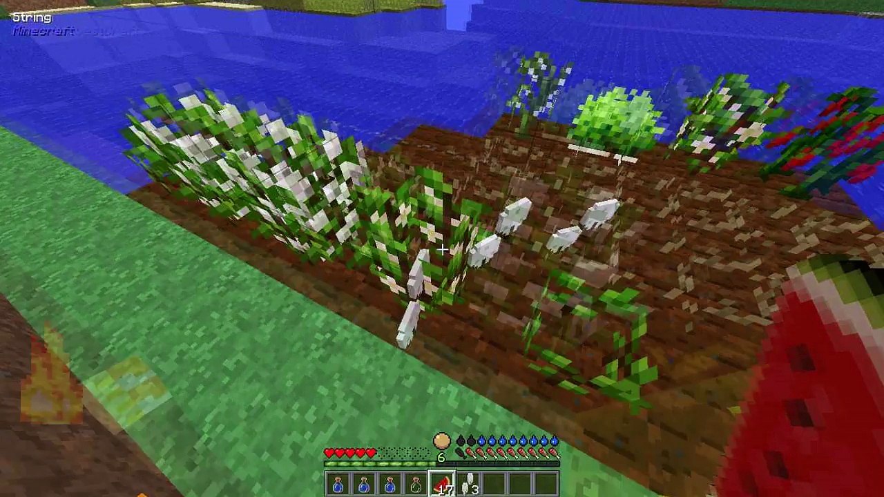 MINECRAFT: MEU MUNDO- #3 HORA DA FAZENDA!