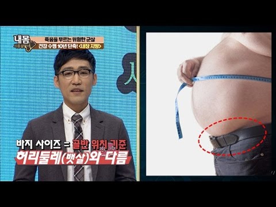 수명 10년 단축, 내장 지방의 위험성 [내 몸 사용설명서] 133회 20161216