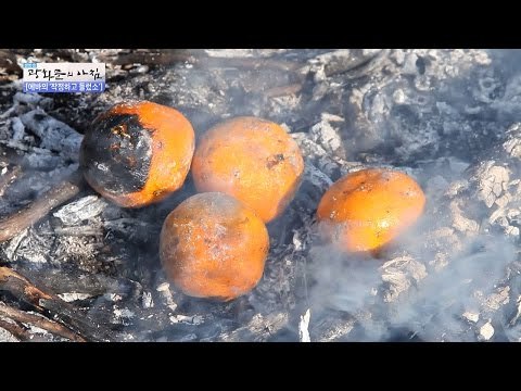 군고구마 뺨치는 구운 감귤의 맛은? [광화문의 아침] 380회 20161215
