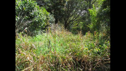 The botanic garden by FUN VIDEOS PRODUCTION