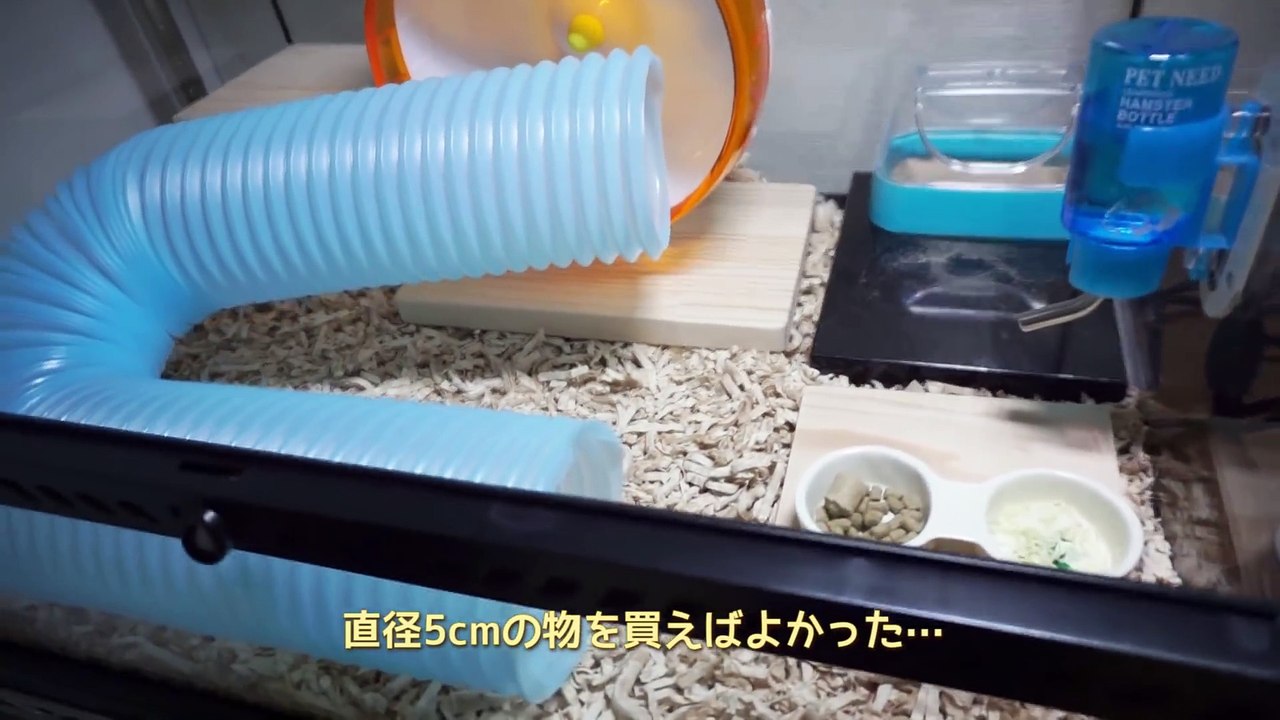 麻田義貴のコロコロハムちゃん (2)