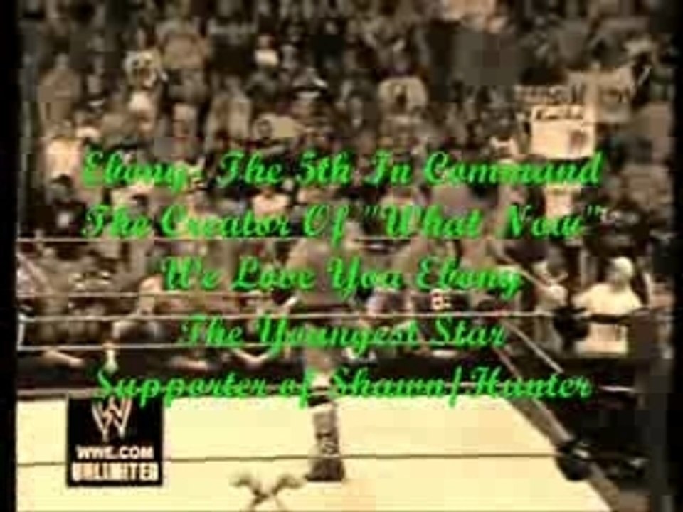 Everyone-A Tribute To My Best Friends