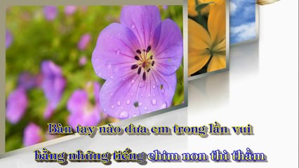 [Karaoke] XIN CÒN GỌI TÊN NHAU - Trường Sa (Giọng Nam)