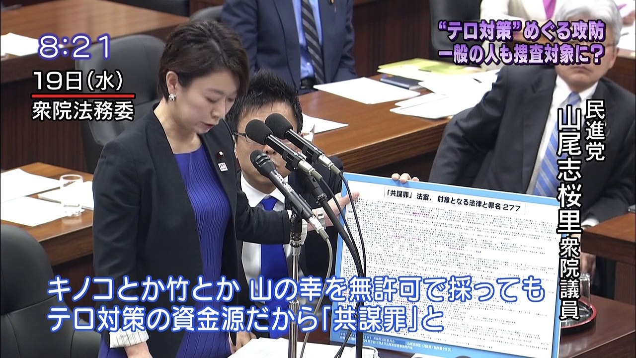 “共謀罪” 本格審議入り　異例の採決で法務省刑事局長出席