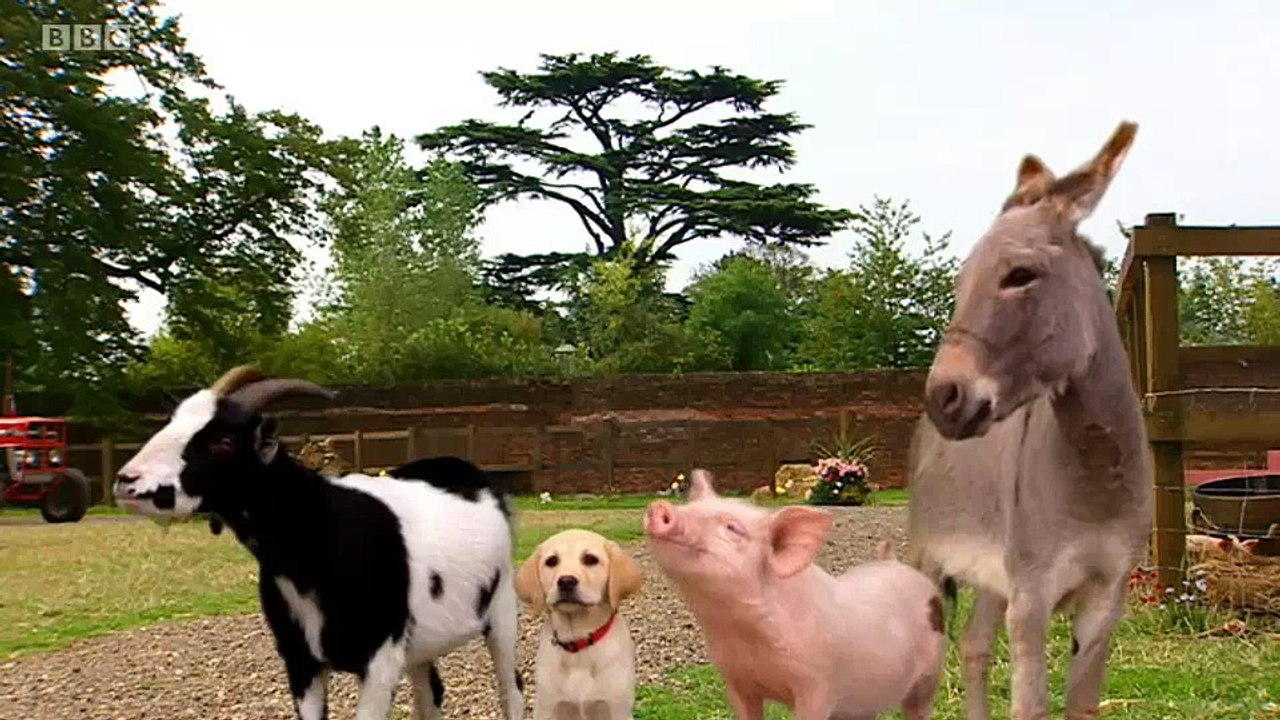 Big Barn Farm - S2E19. Babysitters