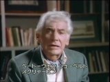 Brahms: Symphony No.3 【with Commentary】 / Bernstein Wiener Philharmoniker (1981 Movie Live) part 1/2