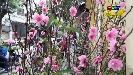 Đại sứ nước ngoài hào hứng trải nghiệm Tết Việt