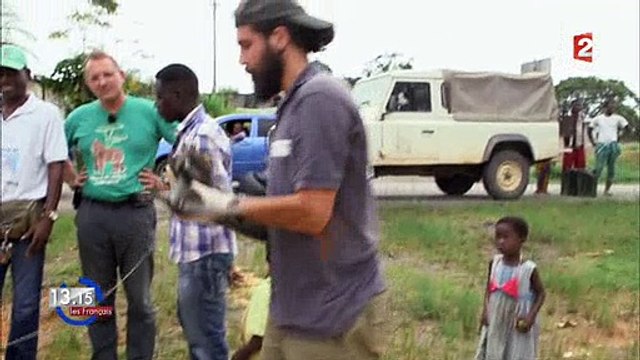 Pour s'en sortir, des gabonais chassent les singes pour... les manger ! Regardez