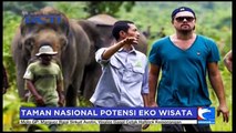 Wisata Ke Taman Nasional Gunung Leuser