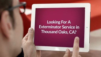 Insight Pest Management - Exterminator in Thousand Oaks, CA