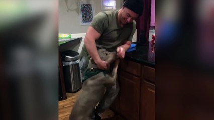 Ce chien est jaloux d'une peluche !
