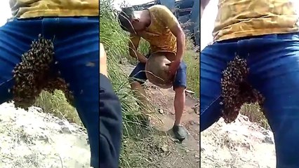Un homme avec des abeilles entre ses cuisses