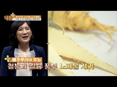 기름 낀 피 해독하는 ‘이것’의 정체는? [내 몸 플러스] 36회 20161211