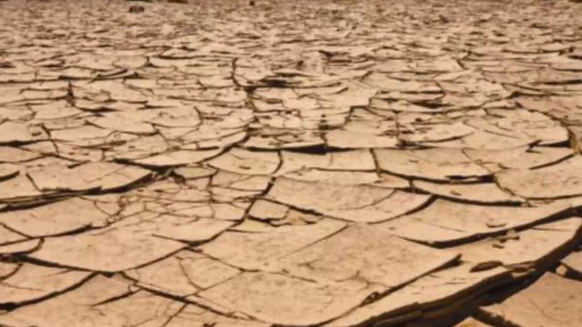 POONAM PANDEY AT THE LAUNCH OF BAHRAINS BRAVE COMBAT FEDERATION WITH MIXED MARTIAL ARTS