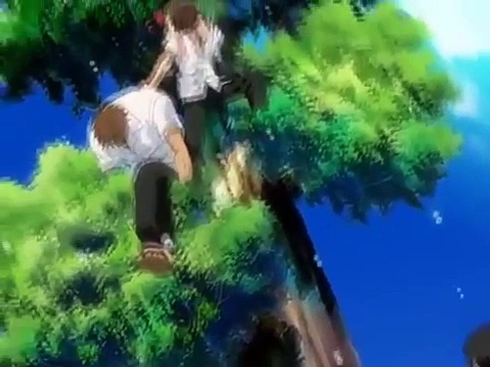 植木的法則 06