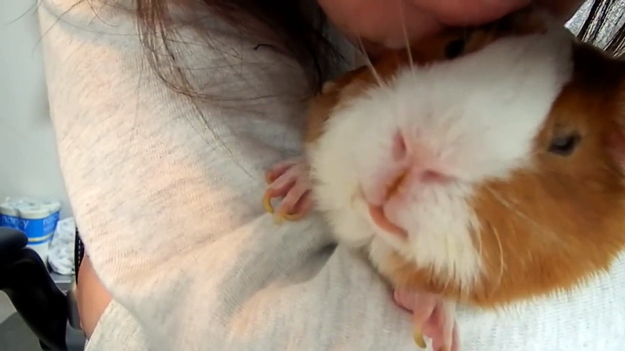 吉川利彦と動物との暮らし (1)