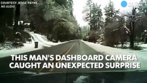 Dashcam video shows tree fall, just miss car-_AOTZ2Ijjt4