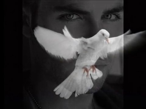 Beyaz Güvercin Timur Selçuk Timur Selçuk Timur Selçuk Şarkı Sözleri Süzülüp mavi göklerden yere doğru Omuzuma bir beyaz güvercin kondu Ald