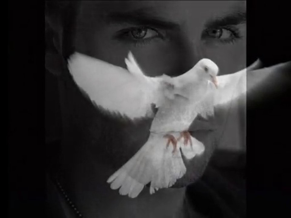 Beyaz Güvercin Timur Selçuk Timur Selçuk Timur Selçuk Şarkı Sözleri  Süzülüp mavi göklerden yere doğru Omuzuma bir beyaz güvercin kondu  Ald