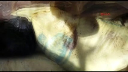 Hakkari'de PKK'ya Ait Silah ve Mühimmat Ele Geçirildi