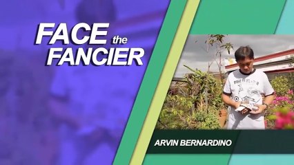 Alagang Magaling S6 EP8 - FACE THE FANCIER