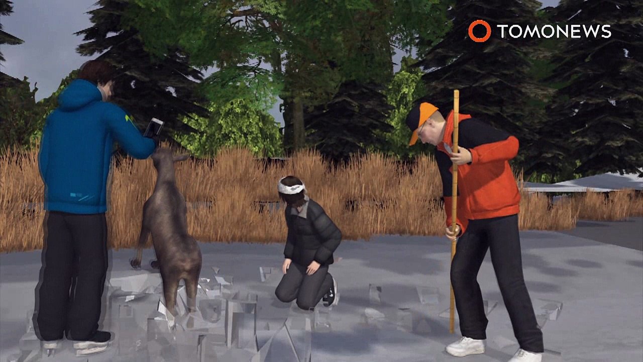 Patinadores de gelo heróicos quebram gelo espesso para salvar alce preso em lago congelado